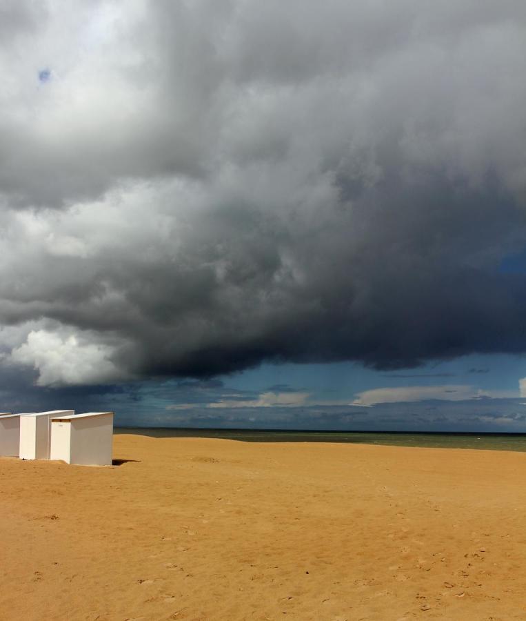 Duinroos C2 Lägenhet Koksijde Exteriör bild